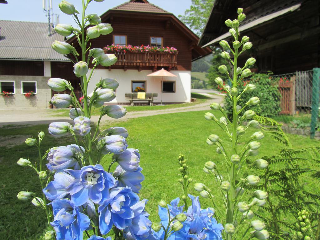 Der Hoferbauer Apartment Bad Kleinkirchheim Exterior photo